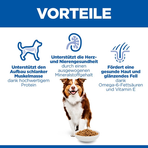 Hill's Mature Adult 7+ Active Longevity Medium Huhn Hundefutter 