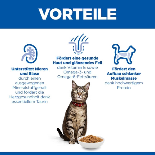 Hill's Adult Huhn Katzenfutter