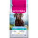 Eukanuba Adult Special Care Weight Control L/XL Groβe Rassen Hundefutter