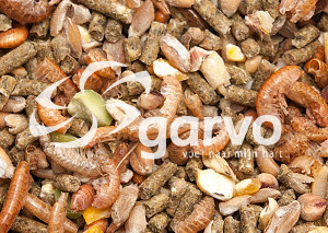 Garvo Alfagrow Pride 2080 Futter für Küken