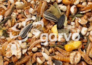 Garvo Pride Treats 2070 Hühner Leckerli