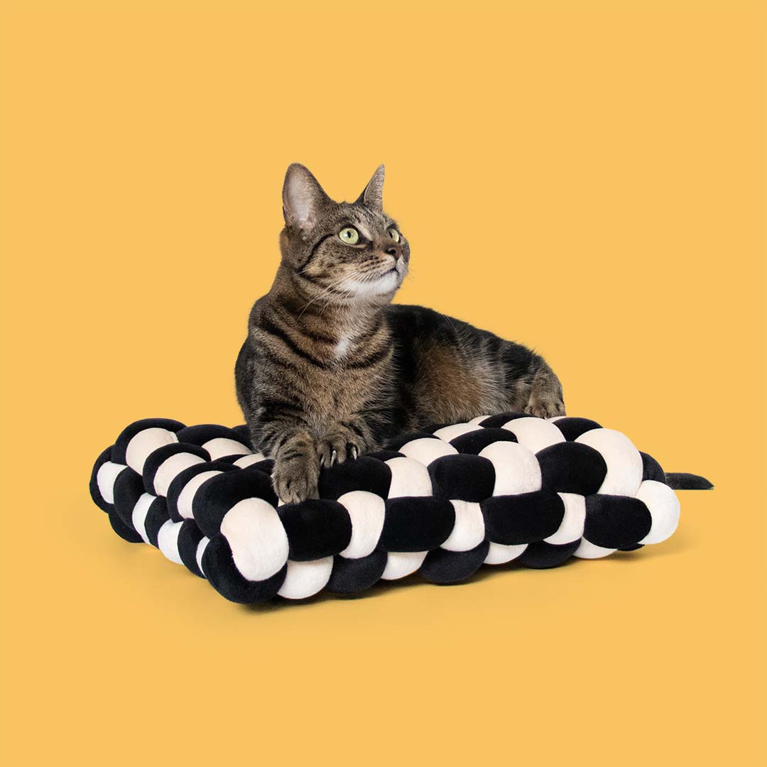 Velvet Vibe kattenkussen