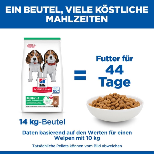 Hill's Puppy Healthy Development Lamm & Reis Hundefutter 