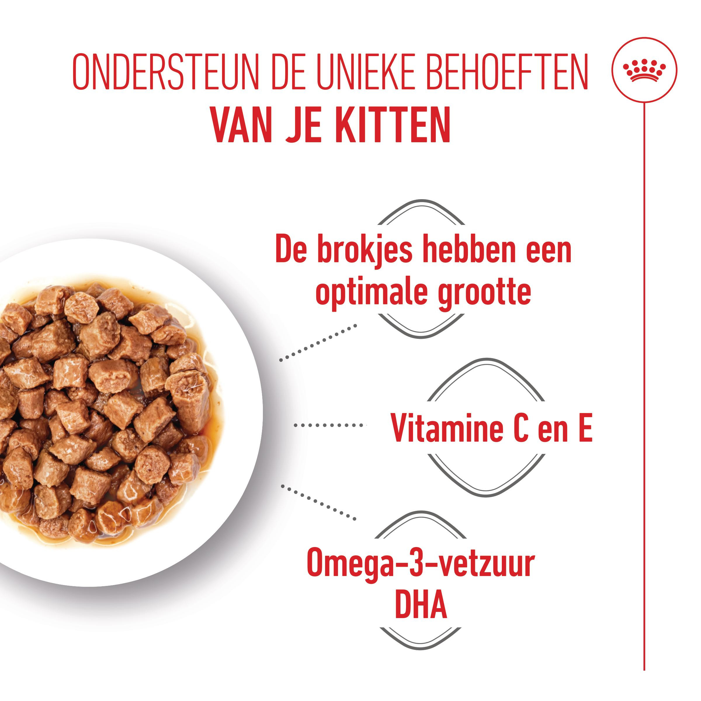 Royal Canin Kitten Kätzchen-Nassfutter (in Soße)