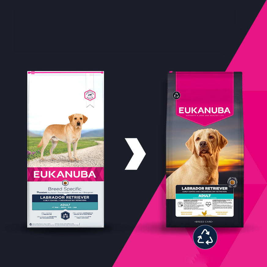 Eukanuba Labrador Retriever Hundefutter