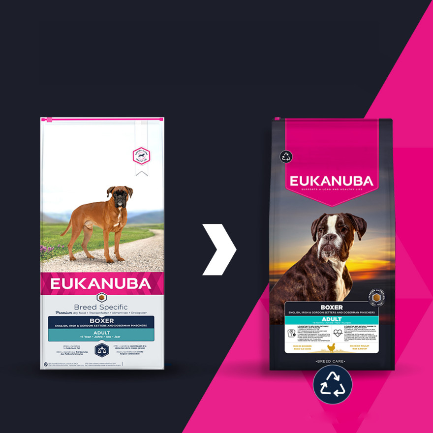 Eukanuba Boxer Hundefutter