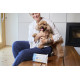 Plaqtiv+ Dental Wipes Gebisspflege für Hund und Katze