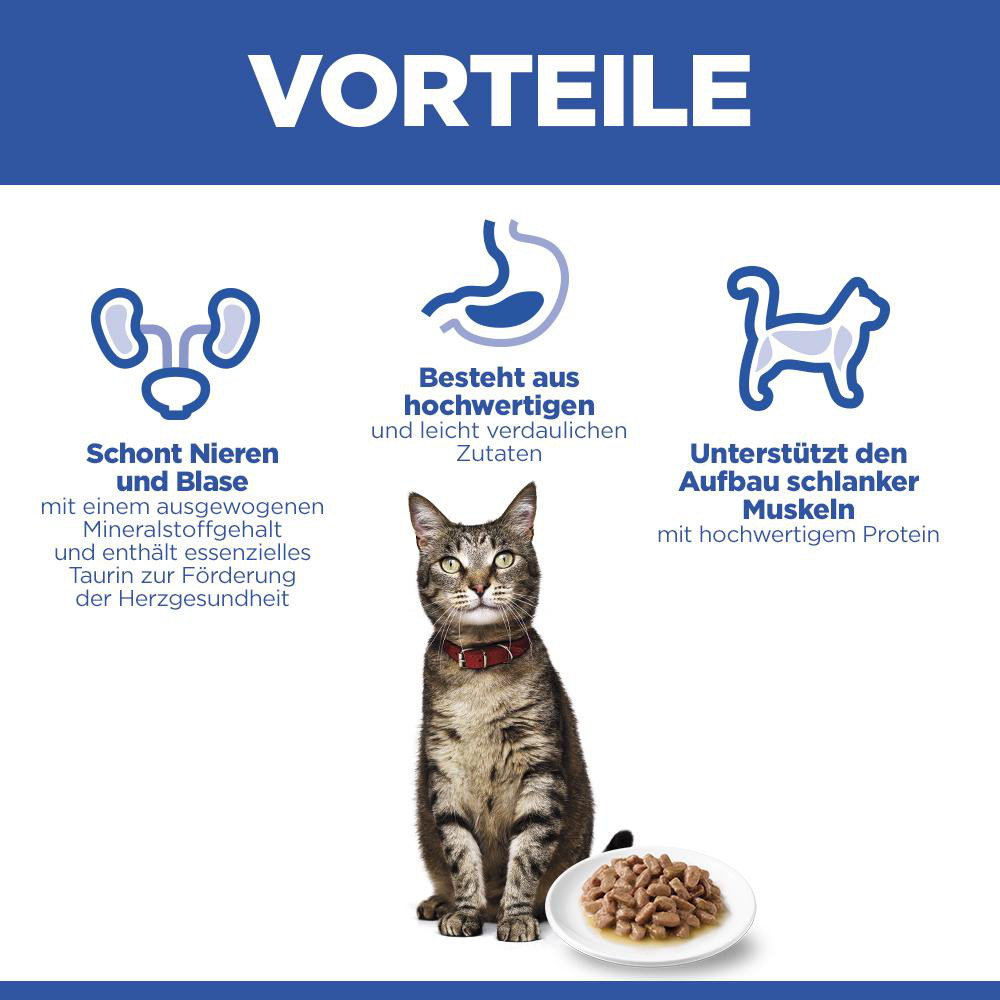 Hill's Adult nat kattenvoer met rund maaltijdzakje multipack