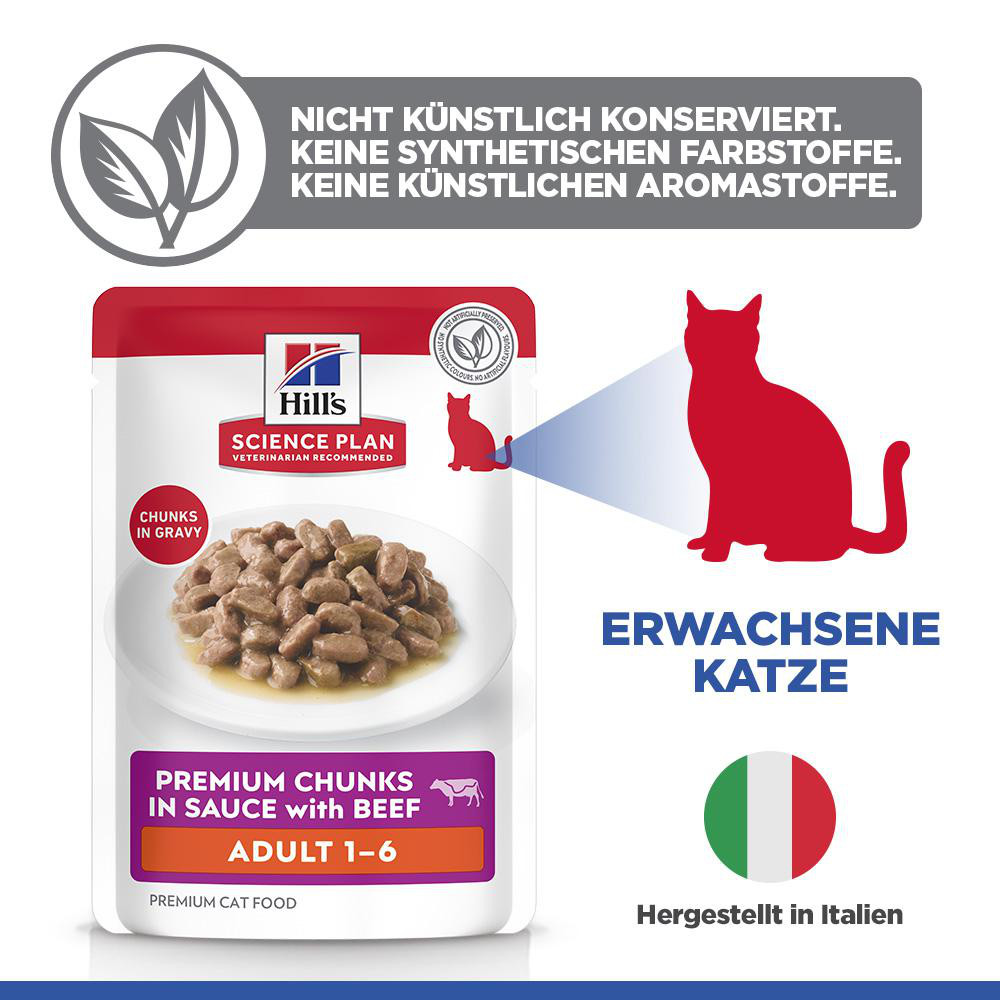 Hill's Adult nat kattenvoer met rund maaltijdzakje multipack