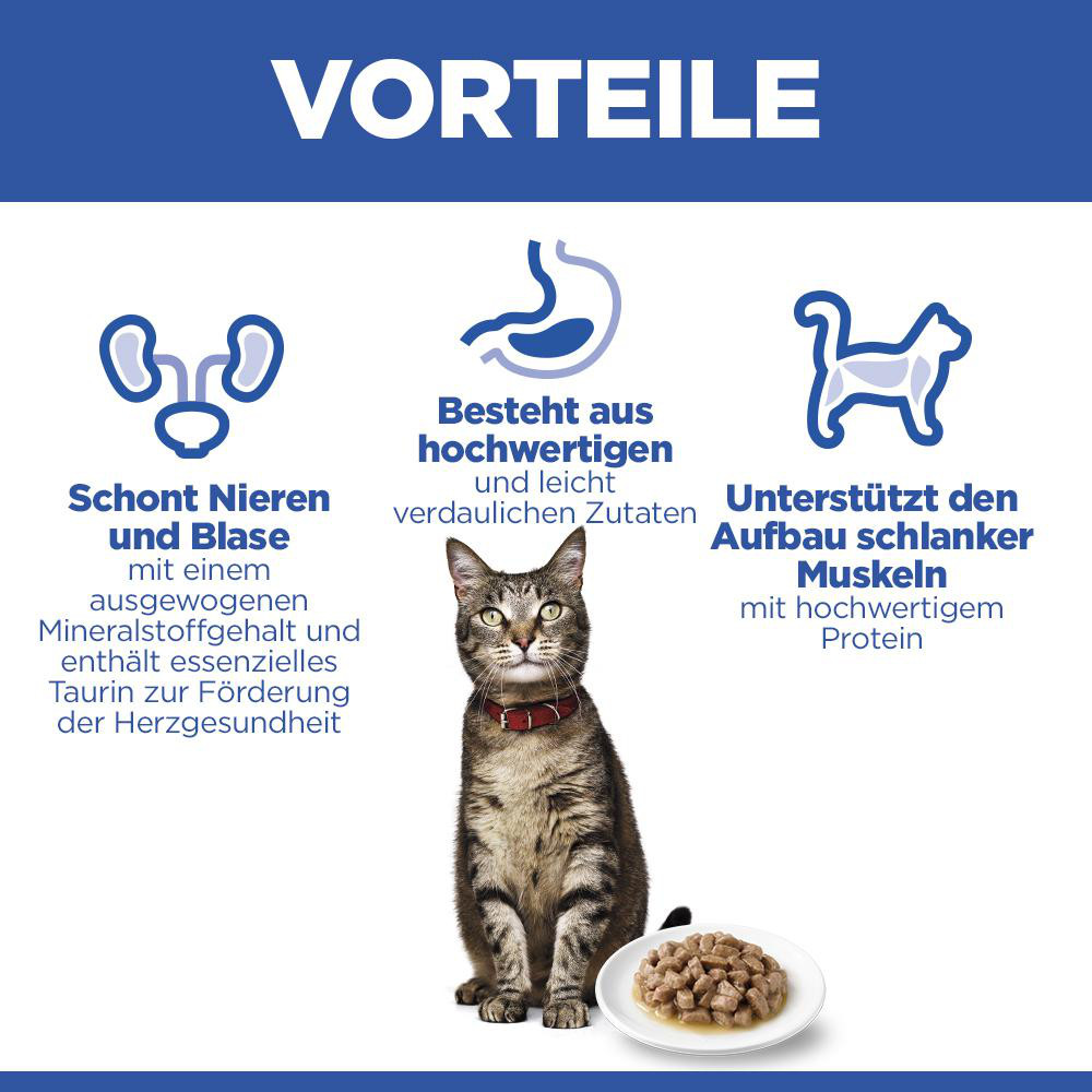 Hill's Mature Adult 7+ nat hondenvoer met rund blik