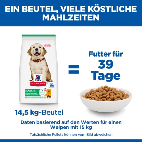 Hill's Puppy Healthy Development Large Breed Huhn Hundefutter 