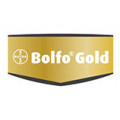 Bolfo Gold Katze