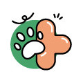 Immunsystem Hund