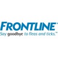 Frontline Katze